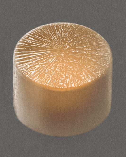Daikon